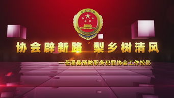 一站式創意傳播解決方案 四川龍騰多媒體文化服務全覽